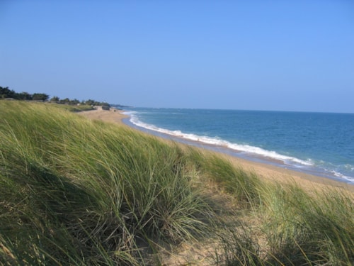 Foto #1 van Siblu – La Pignade