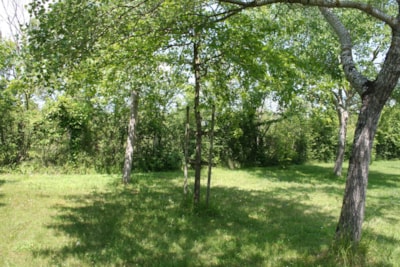 Nature package (without electricity): tent or caravan or motorhome or motorcycle + 1 car