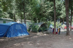 Emplacement - Emplacement Avec Voiture, Tente, Caravane Ou Camping-Car - Camping de la Vallée de Taradeau