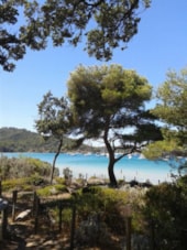 Camping de la Vallée de Taradeau