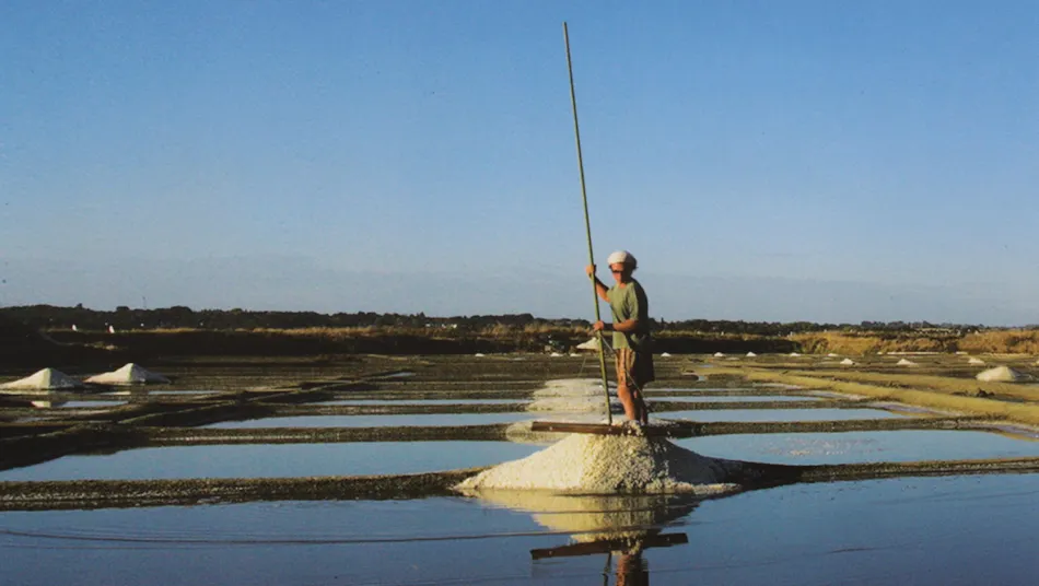 Camping de Kernéjeune