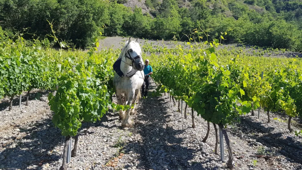 Camping Les Auches - image n°37 - UniversalBooking