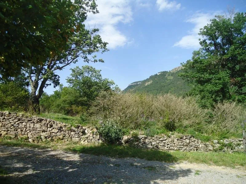Camping les Chênes - image n°11 - Ardeche