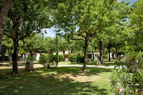 Emplacement - Emplacement Grand Confort - image n°2 - Camping L'Ardéchois