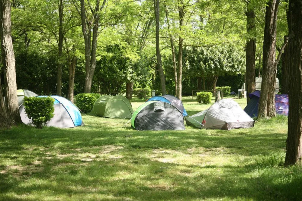Camping l'Ile - image n°4 - Ardeche