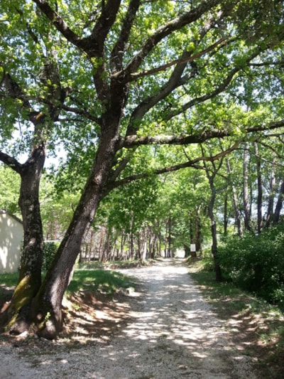 Shaded piches 90-100m²