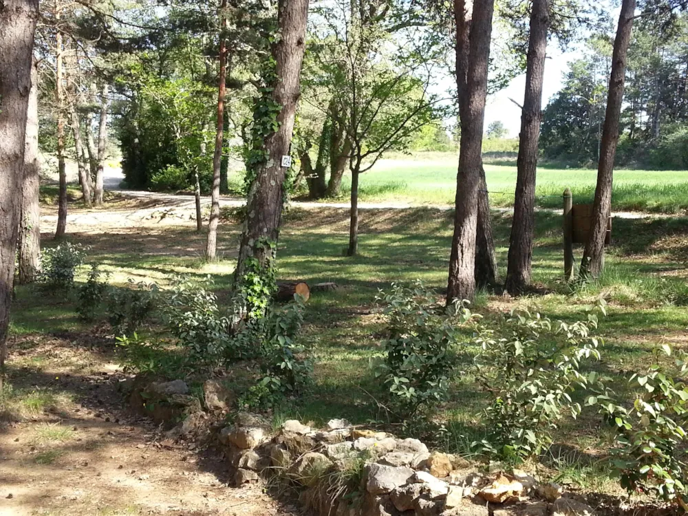 Emplacement - Emplacements Ombragés 90-100M² - Parc Saint Sauvayre