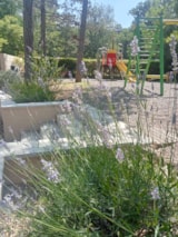 Foto #18 van Parc Saint Sauvayre