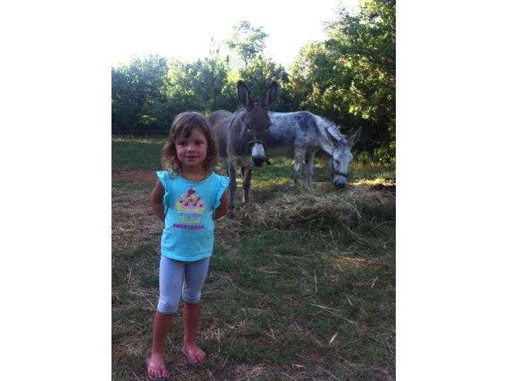 Camping La Goule - image n°18 - Ardeche
