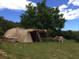 Location - Tente Randonneur - Camping La Goule