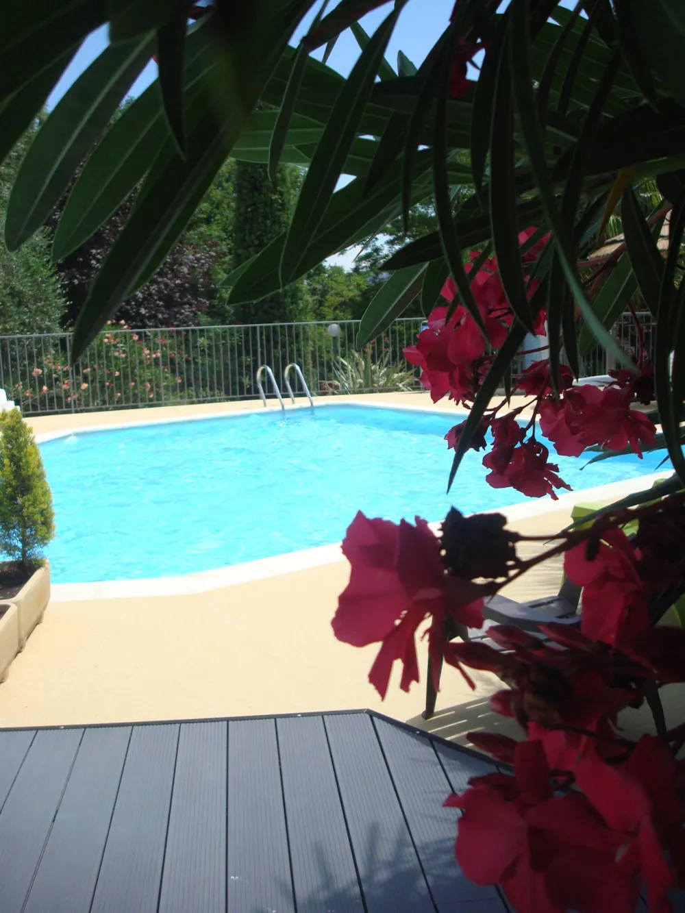 Camping le Mas de la Source - image n°8 - Ardeche