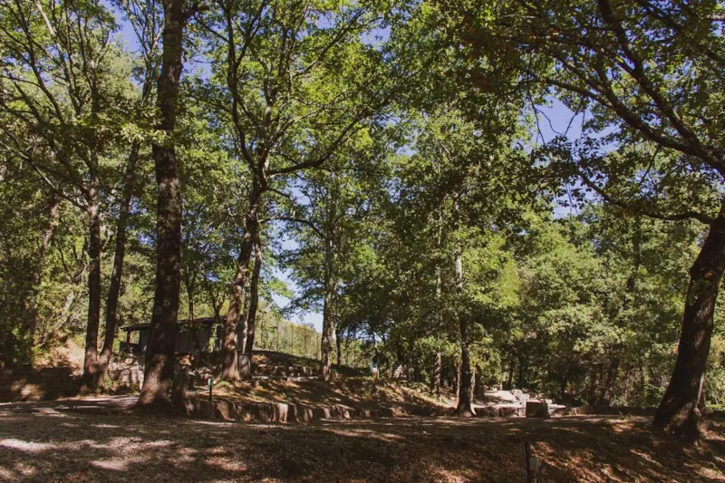 Emplacement De Catégorie 1 Avec Électricité