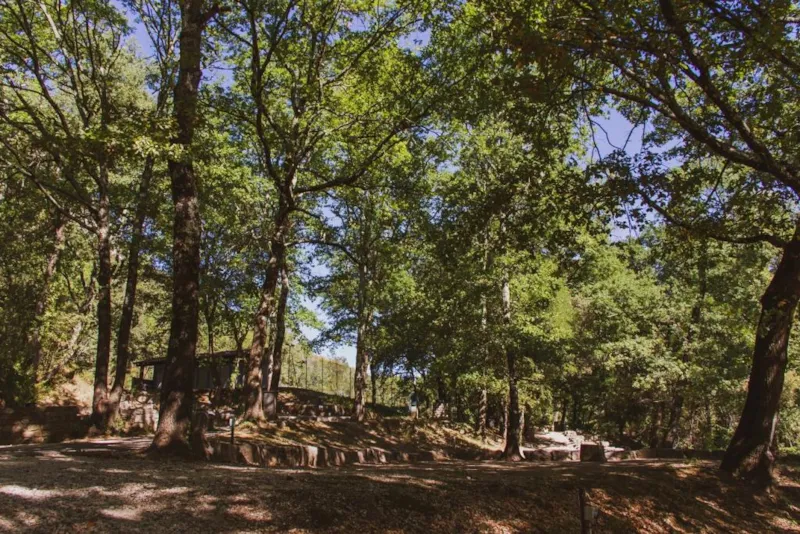 Emplacement De Catégorie 1 + Électricité À La Nuitée