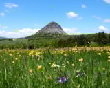 Foto #64 van Domaine des BLACHAS