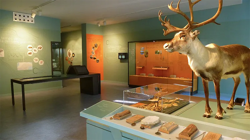 Domaine des BLACHAS - image n°66 - RhoneAlpes