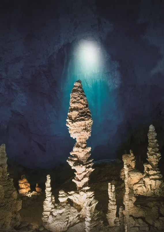 Domaine des BLACHAS - image n°67 - RhoneAlpes