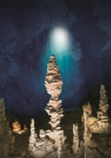 Foto #74 van Domaine des BLACHAS