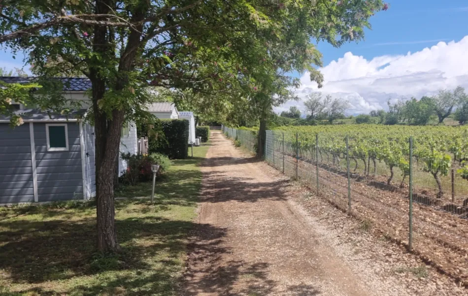 Camping Carrefour de l'Ardèche