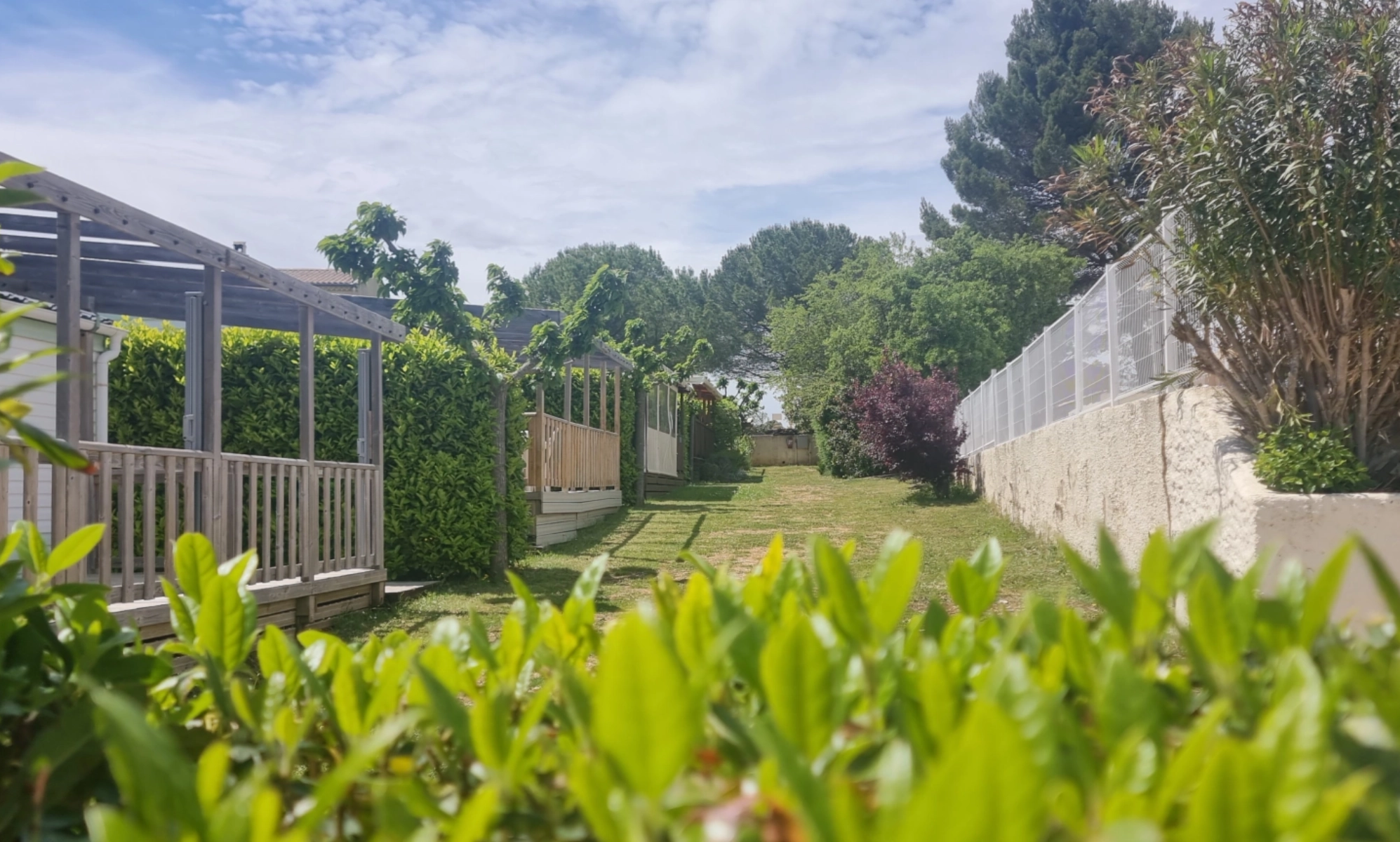 Camping Carrefour de l'Ardèche — Photo 2