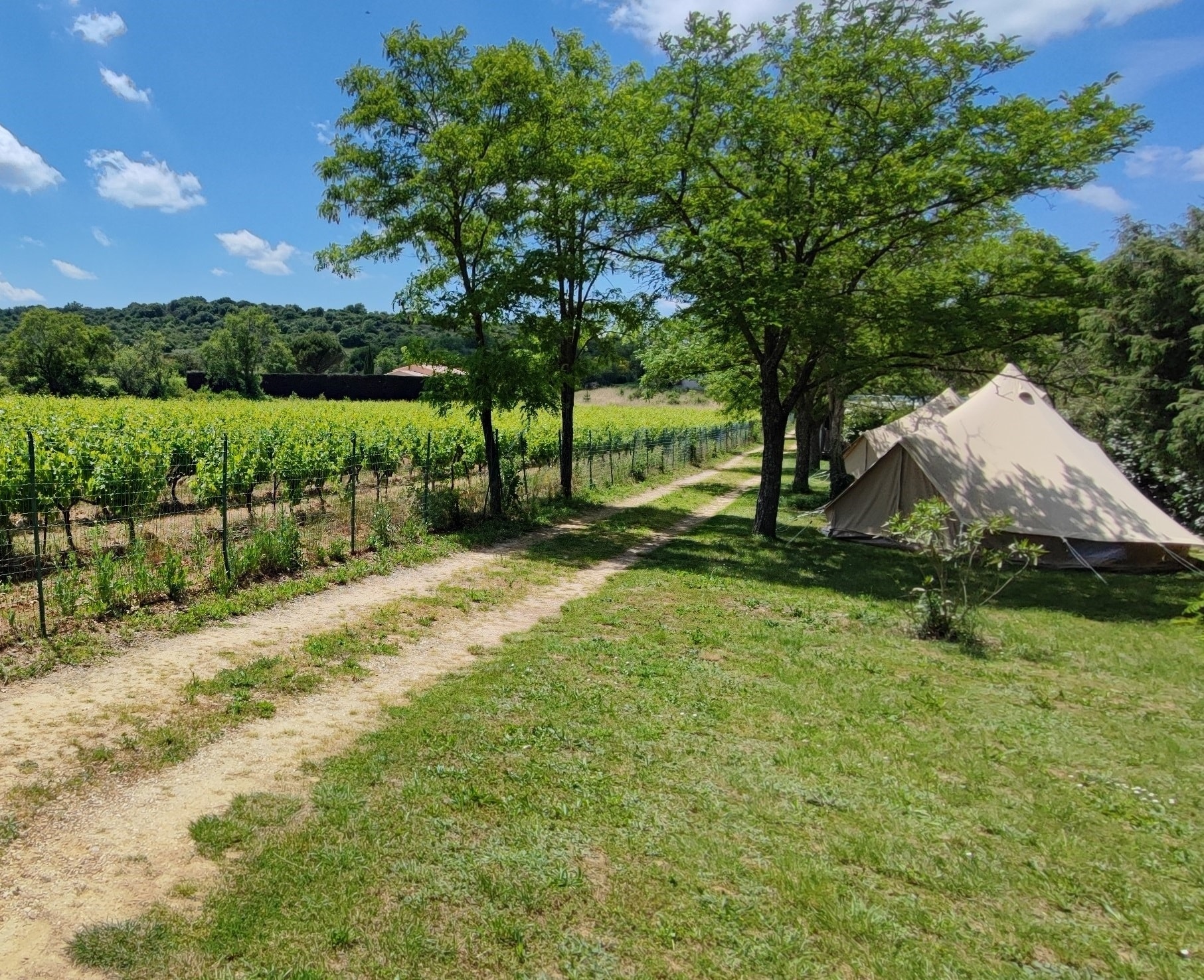 Camping Carrefour de l'Ardèche — Photo 1