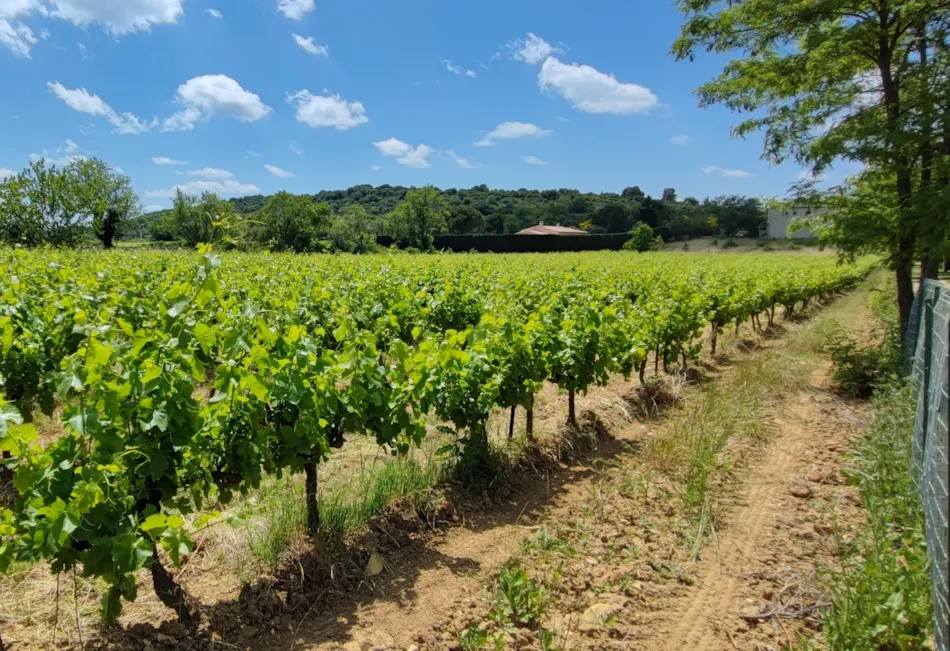 Camping Carrefour de l'Ardèche