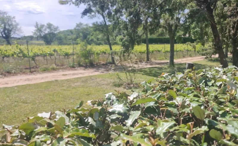 Forfait : 1 Emplacement + Voiture Ou Camping-Car 2/6 Pers. + Elect