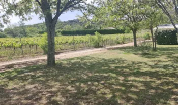 Emplacement - Forfait : 1 Emplacement Standart 2Pers - Camping Carrefour de l'Ardèche