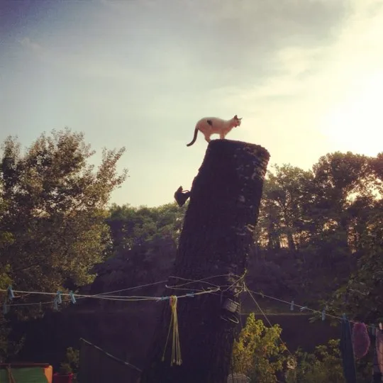 Camping les Ponts sur l'Ardèche - image n°6 - Ardeche