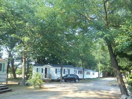 Location - Mobil Home Klassik - 2 Chambres - image n°2 - Camping Le Mas Sud Ardèche