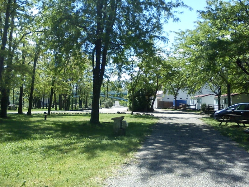 Stellplatz 2 person + Zelt oder Wohnwagen + auto