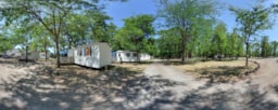 Camping Le Mas Sud Ardèche - image n°9 - Roulottes