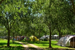 CAMPING LES PLATANES - image n°30 - Roulottes