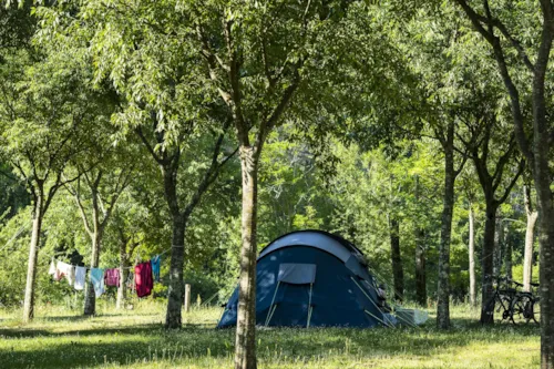 Pitch - Pitch - image n°3 - CAMPING LES PLATANES
