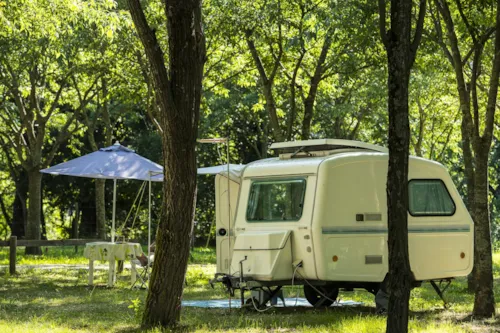 Pitch - Pitch - image n°5 - CAMPING LES PLATANES