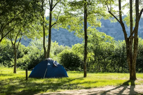 Pitch - Pitch - image n°7 - CAMPING LES PLATANES