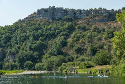 CAMPING LES PLATANES