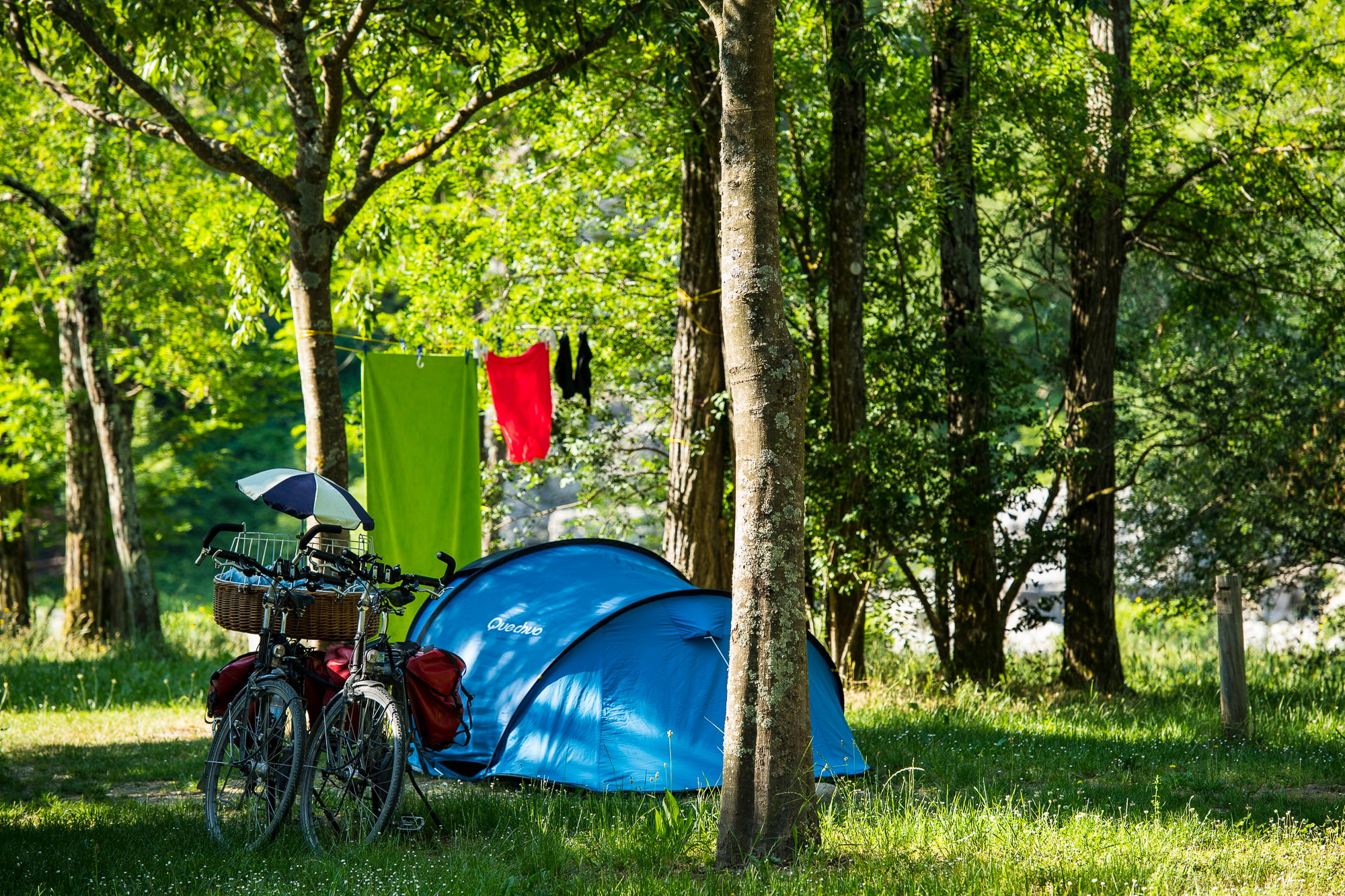 CAMPING LES PLATANES — Photo 7