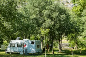 Emplacement - Standplaats - CAMPING LES PLATANES
