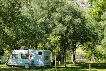 Pitch - Pitch - CAMPING LES PLATANES