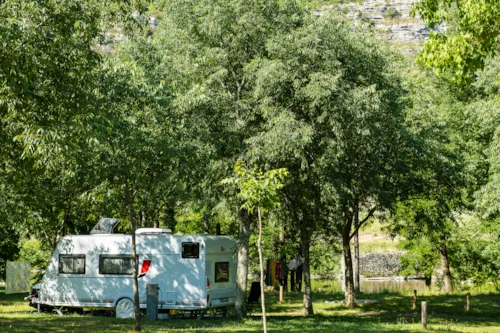 Pitch - Pitch - image n°1 - CAMPING LES PLATANES
