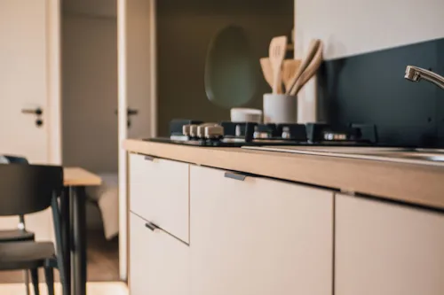 Huuraccommodatie(s) - Nieuw 2026-Mobil-Home - Nest 29 - 2 Slaapkamers - image n°9 - CAMPING LES PLATANES