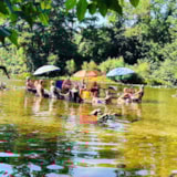 Foto #17 van Camping Lou Rouchetou