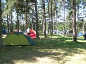 Emplacement - Standplaats  + tent, caravan of camper - Camping du Lac de Devesset