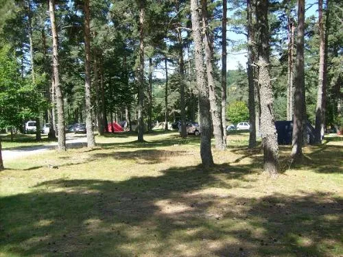 Kampeerplaats(en) - Standplaats - image n°8 - Camping du Lac de Devesset