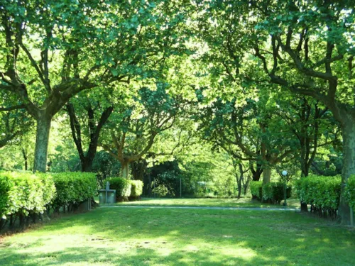 Pitch - Package 2 Persons, 1 Pitch, 1 Car - image n°7 - Camping Le Chauvieux