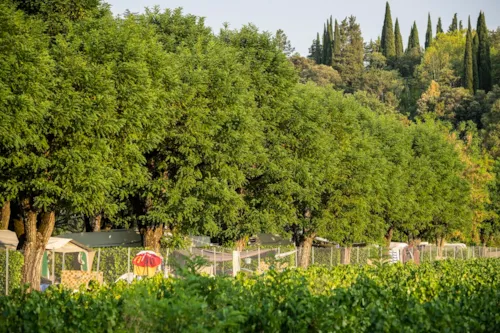 Pitch - Package 2 Persons, 1 Pitch, 1 Car - image n°1 - Camping Le Chauvieux