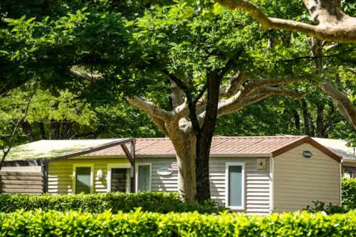 Mietunterkunft - Mobilheim Standard - image n°2 - Camping Le Chauvieux