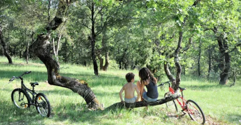 Camping L'Ombrage - image n°3 - Camping Direct