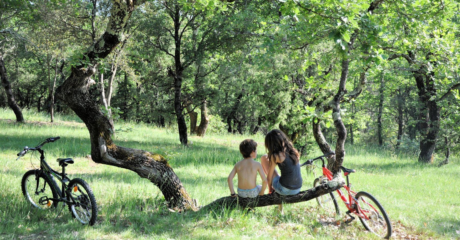 Camping L'Ombrage — Photo 6