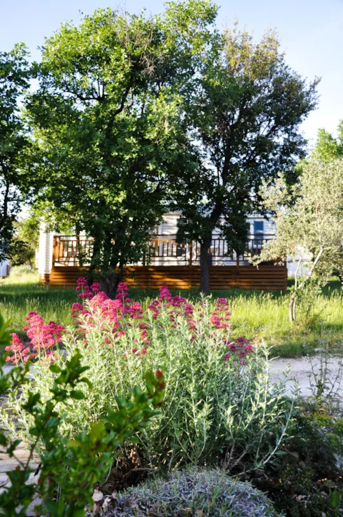 Mietunterkunft - Cottage "Laurier" - 3 Schlafzimmer - Reihe Confort - image n°5 - Camping L'Ombrage